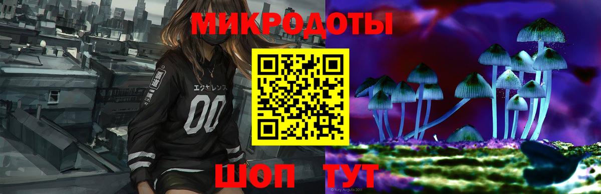 Галлюциногенные грибы Cubensis Киров